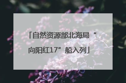 自然资源部北海局“向阳红17”船入列