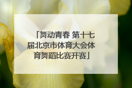 舞动青春 第十七届北京市体育大会体育舞蹈比赛开赛