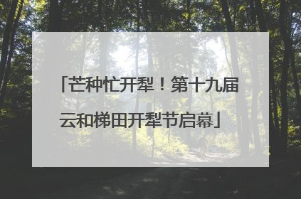 芒种忙开犁！第十九届云和梯田开犁节启幕