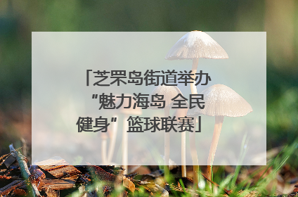 芝罘岛街道举办“魅力海岛 全民健身”篮球联赛