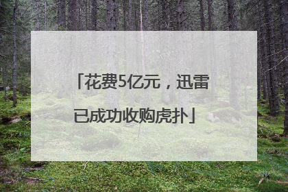 花费5亿元，迅雷已成功收购虎扑