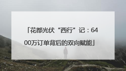 花都光伏“西行”记：6400万订单背后的双向赋能