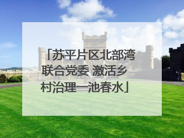 苏平片区北部湾联合党委 激活乡村治理一池春水