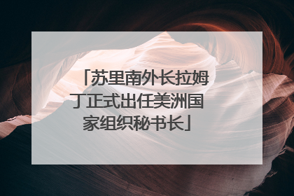 苏里南外长拉姆丁正式出任美洲国家组织秘书长