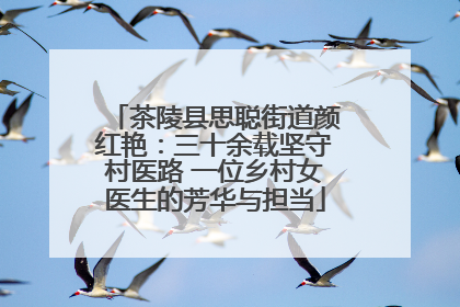 茶陵县思聪街道颜红艳：三十余载坚守村医路 一位乡村女医生的芳华与担当
