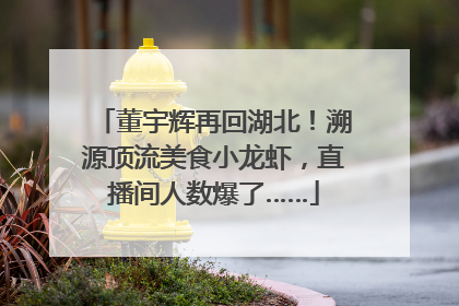董宇辉再回湖北！溯源顶流美食小龙虾，直播间人数爆了……
