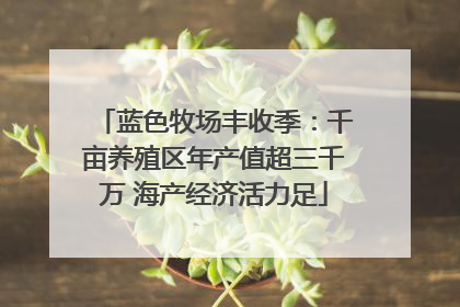 蓝色牧场丰收季：千亩养殖区年产值超三千万 海产经济活力足