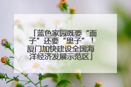 蓝色家园既要“面子”还要“里子”！厦门加快建设全国海洋经济发展示范区