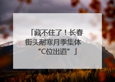 藏不住了！长春街头耐寒月季集体“C位出道”