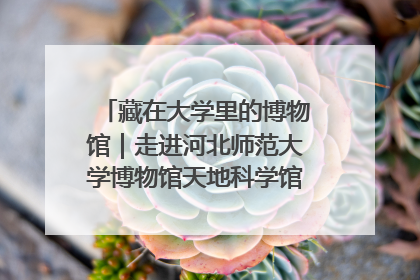 藏在大学里的博物馆｜走进河北师范大学博物馆天地科学馆：在校园里赴一场“宇宙之约”