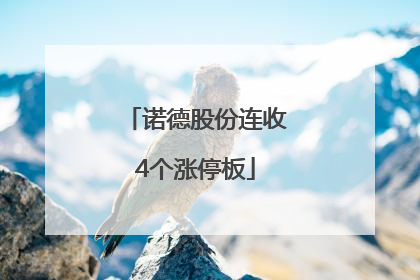 诺德股份连收4个涨停板