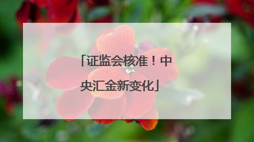 证监会核准！中央汇金新变化