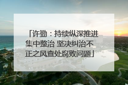 许勤：持续纵深推进集中整治 坚决纠治不正之风查处腐败问题