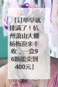 订单早就排满了！杭州萧山大棚杨梅迎来丰收，一盒96颗能卖到400元