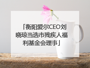 衡阳爱尔CEO刘晓琼当选市残疾人福利基金会理事