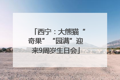 西宁：大熊猫“奇果”“园满”迎来9周岁生日会