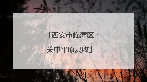 西安市临潼区：关中平原夏收