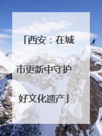 西安：在城市更新中守护好文化遗产