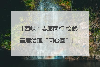 西峡：志愿同行 绘就基层治理“同心圆”