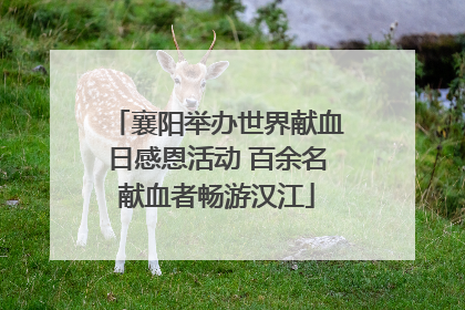 襄阳举办世界献血日感恩活动 百余名献血者畅游汉江