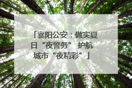 襄阳公安：做实夏日“夜警务” 护航城市“夜精彩”