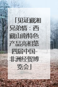 见证藏湘兄弟情：西藏山南特色产品亮相第四届中国-非洲经贸博览会