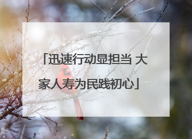 迅速行动显担当 大家人寿为民践初心