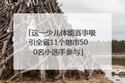 这一少儿体能赛事吸引全省11个地市500名小选手参与