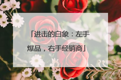 进击的白象：左手爆品，右手经销商