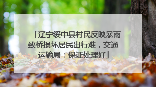 辽宁绥中县村民反映暴雨致桥损坏居民出行难，交通运输局：保证处理好