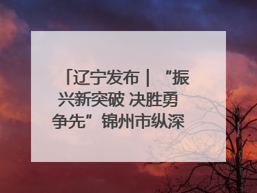 辽宁发布｜“振兴新突破 决胜勇争先”锦州市纵深推进区域中心城市建设 打造高质量发展新增长极