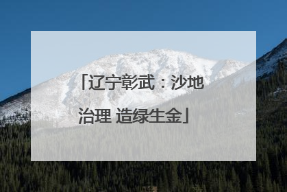 辽宁彰武：沙地治理 造绿生金
