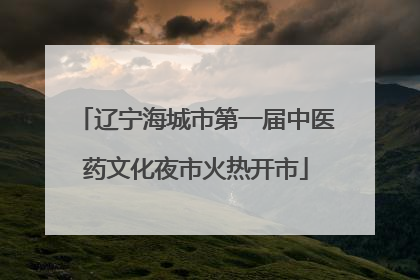 辽宁海城市第一届中医药文化夜市火热开市