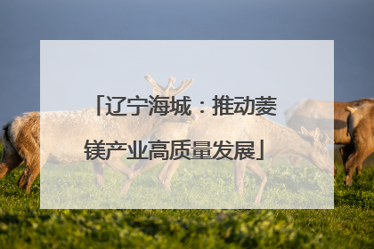 辽宁海城：推动菱镁产业高质量发展