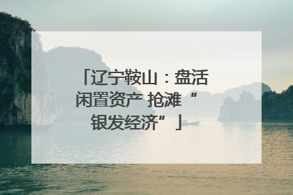 辽宁鞍山：盘活闲置资产 抢滩“银发经济”