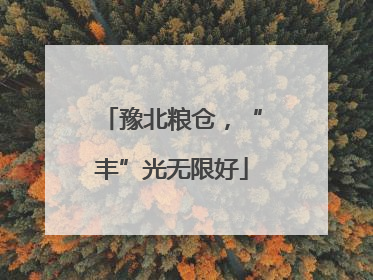 豫北粮仓，“丰”光无限好
