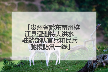 贵州省黔东南州榕江县遭遇特大洪水 驻黔部队官兵和民兵驰援防汛一线