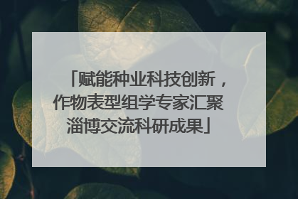 赋能种业科技创新，作物表型组学专家汇聚淄博交流科研成果