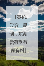赏花、尝珍、品韵，东湖赏荷季有颜有料