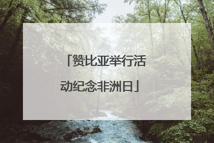 赞比亚举行活动纪念非洲日