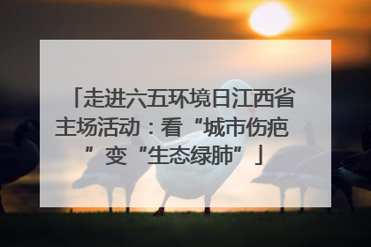 走进六五环境日江西省主场活动：看“城市伤疤”变“生态绿肺”