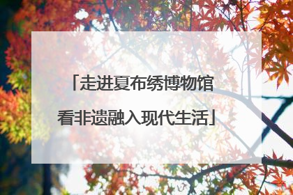 走进夏布绣博物馆 看非遗融入现代生活