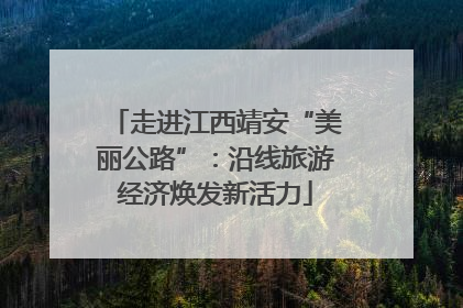 走进江西靖安“美丽公路”：沿线旅游经济焕发新活力