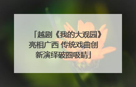 越剧《我的大观园》亮相广西 传统戏曲创新演绎破圈吸睛