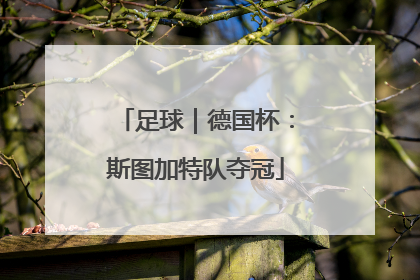 足球｜德国杯：斯图加特队夺冠