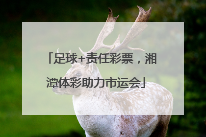 足球+责任彩票，湘潭体彩助力市运会