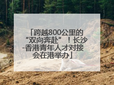 跨越800公里的“双向奔赴”！长沙-香港青年人才对接会在港举办