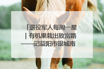 退役军人每周一星｜有机果栽出致富路——记益阳市银城南湖蔬果农民专业合作社总经理晏桂明