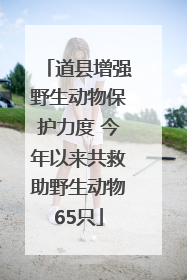 道县增强野生动物保护力度 今年以来共救助野生动物65只