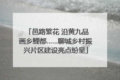 邑路繁花 沿黄九品 画乡鲤都……聊城乡村振兴片区建设亮点纷呈